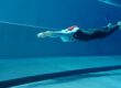 CNF Diver im Pool-Wettkampf - AIDA Deutschland e.V.